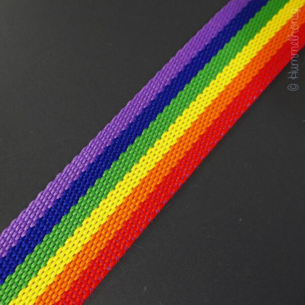 Gurtband Streifen Regenbogen