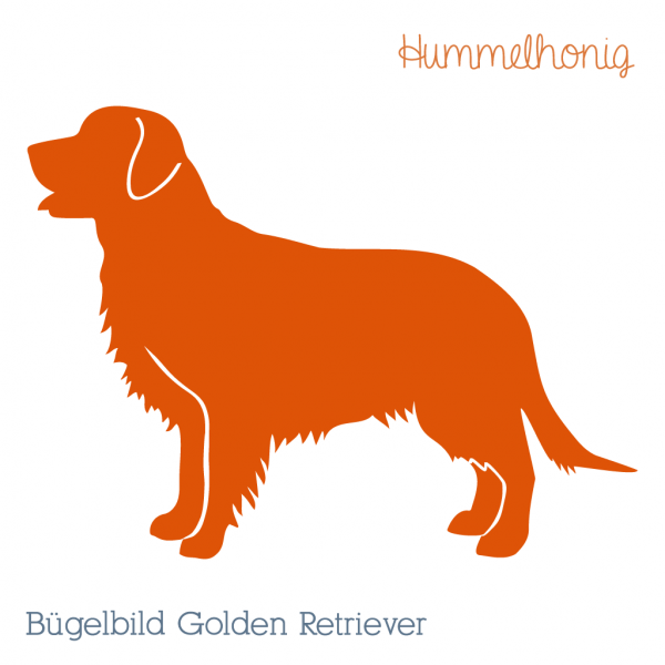Bügelbild Plott Golden Retriever Hund